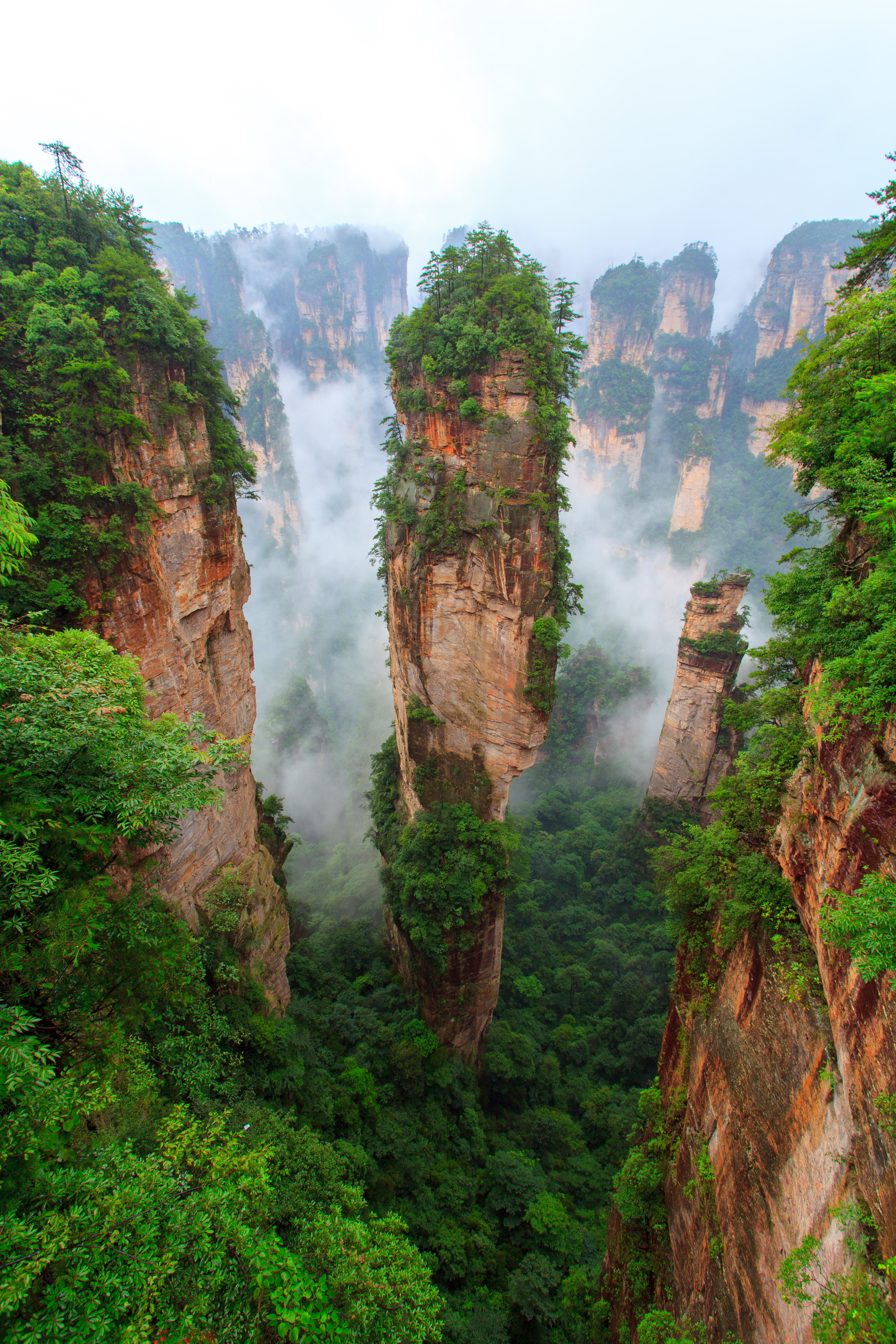 Tall sandsrtone pillars with forest growing on them loom into the clouds floating around their tops